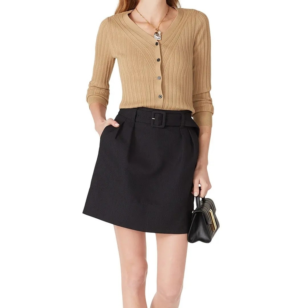 Club Monaco Mini Skirt